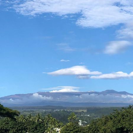 Hilo Downtown Condo Walk To Beaches エクステリア 写真